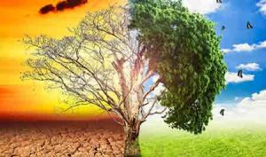بررسی اثرات تغییر اقلیم بر شاخص های اقلیمی کشاورزی