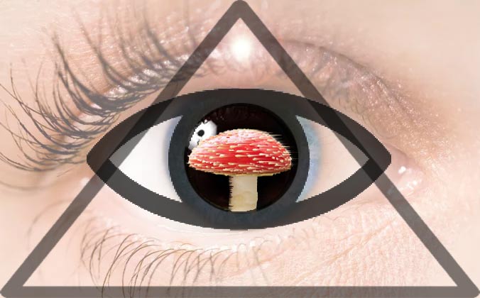قارچ جادویی و چشم سوم